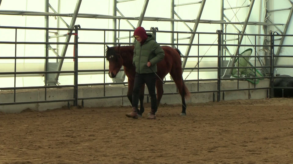 Building Relaxed Forward at the Shoulder